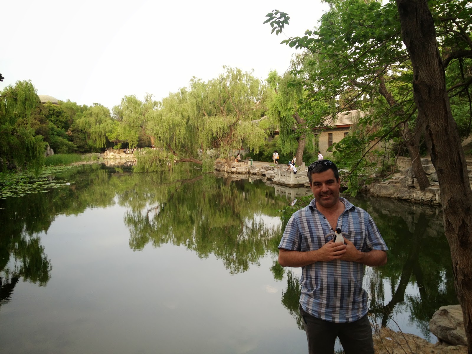 This pond and surrounding landscaping are behind the office of the president of the University.  This was all part of the Summer Palace, so that office and these grounds used to be the private domain of royalty.