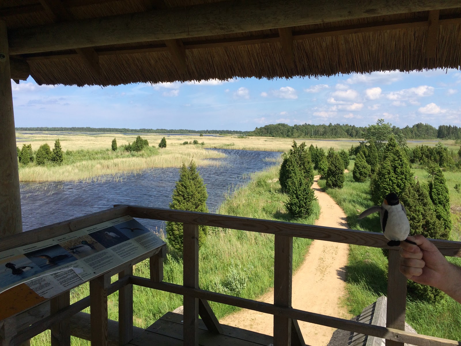 A couple of nice birdwatching decks overlook the wetlands